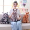 Maomoto Cat Shaped Plush Throw Pillow, 50 cm, 3D Simulation