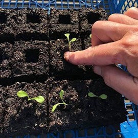 Sknrlko Handheld Seedling Soil Block Maker 20-Cell Steel Soil Blocking Tool with Handle Garden Blocking Tools