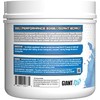 Giant Sports Performance Edge Series BCAA 60 Serving (Blue Raspberry,