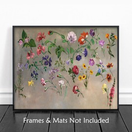 CLOUD NINE PRINTS | Flower Study, Vintage French Botanical Print - Summer Flower Wall Art, Shabby Chic Home Decor, Floating Still Life Art (Unframed 5x7 Print)