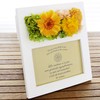 SSP09 Preserved Flowers Photo Frame, Parfait Campagne Gerbera Orange White,
