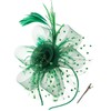 Umturmok Women's Tea Party Fascinators Mesh Flower-Shaped Pearl Feather Veil
