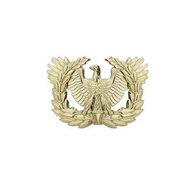 Insignia Depot US Army Brite Warrant Officer Cap Device