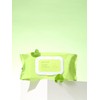 Papa Recipe Real Centella Cica Watery Cleansing Tissue (100 sheets)