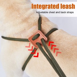 Pig Harness Leash,Adjustable Piggy Harness With 4.7ft Leash Escape Prevention for Small to Medium Pet Pigs Puppies Rabbits Walking Training Jogging