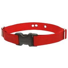 LupinePet Basics 1" Red 12-17" Containment Collar Strap for Medium Dogs