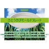 Sunup P2350MLD Sugarcane Pulp Mold, 9.1 inches (23 cm), Pack