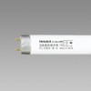 Hotalx FL10EX-D-X2 Daylight