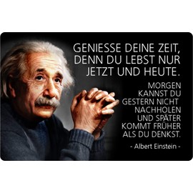 Schatzmix Tin Sign saying Albert Einstein enjoy the time metal sign wall decoration 20 x 30 Tin Sign