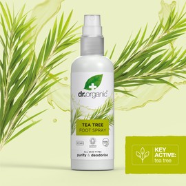 Dr Organic Teebaum Fußspray, Desodorierend, Reinigend, Schnelltrocknend, Aluminiumfrei, mit natürlichem Pfefferminzöl, Vegan, Tierversuchsfrei, Paraben- & SLS-frei, Zertifiziert Bio, 100ml