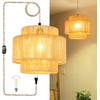 QIYIZM Plug in Pendant Light Hanging Lights with Plug in