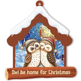 BlinkWishes Owl Christmas Ornament, Owl Couple Hanging Ornament for Christmas Tree Decor, for Owl Lovers, Women, Girls, Mom, Sisters, Kids, Owl