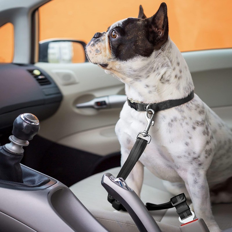 Removable Dog Seat Belt Harness for Car