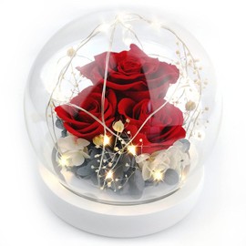 Kylin Glory Forever Flowers Real Eternal Roses Preserved Flowers Gift with LED Mood Lights for Valentine's Day Birthday Anniversary, Elegant Present for Girlfriend Wife Mom Women (Sparkle Red)