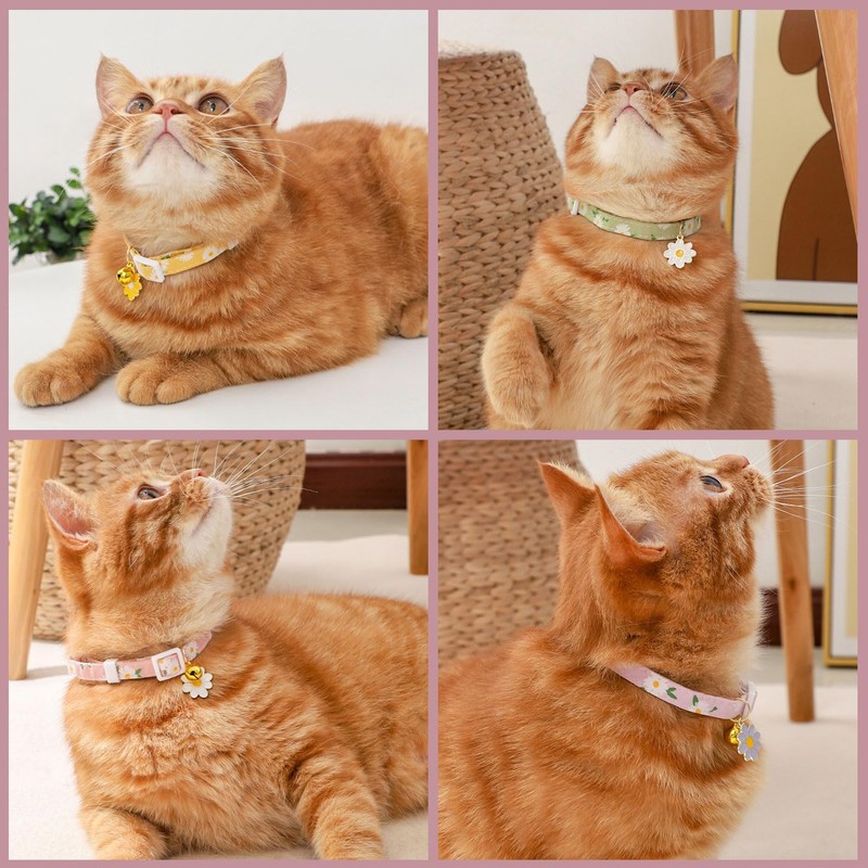 Cat Collars, Set of 2, Cat Collars, Safety Buckle with