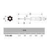 ANEX Screwdriver Hexalobe T15x80 with Hole No. 6300