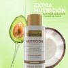 Biometik Nutrición, Shampoo para Cabello Seco y Opaco, Mayor Elasticidad