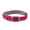 Ancol Viva Padded Soft Touch Weather Proof buckle collar in
