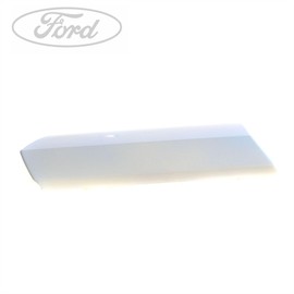 Ford Genuine Transit Custom N/S Front Door Moulding Primed 2013-2023 2318013