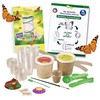 Insect Lore School Kit Refill with 33 Live Caterpillars |