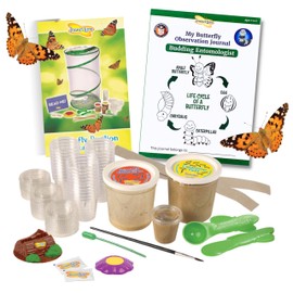 Insect Lore School Kit Refill with 33 Live Caterpillars | STEM Activity Journal & 33 Live Baby Painted Lady Butterfly Caterpillars | Cups & Tools Included