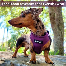 DJANGO Adventure Dog Harness – Comfortable, Durable, and Reflective Neoprene Dog Harness for Outdoor Adventures and Everyday Wear – Adjustable Design with Solid Brass Hardware (Medium, Plum Purple)