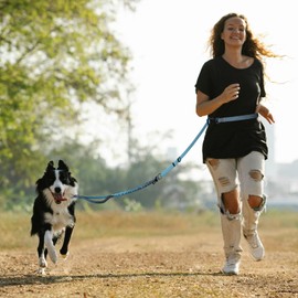 Roses&Poetry Dog Leashes for Large Dogs Heavy Duty,No Pull Bungee Dog Running Waist Leash for Walking Training with Car Seatbelt 4-6FT