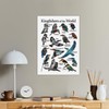 Cipszoely World Kingfisher A3 Identification Reference Educational Wall Poster, Perfect