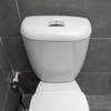 Dual Flush Button Replacement: Toilet Lid Button Flushing Toilet Tank