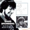 David Bromberg / Demon In Disguise