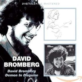 David Bromberg / Demon In Disguise