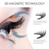 Magnetic Eyelashes, Natural Look, Double Magnetic False Eyelashes without Eyeliner