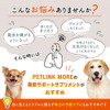 PETLINKMORE Joint Support, Dog Supplement, Joints, Walking, Legs, Made in