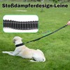 ILII Dog Lead (Black, 140)