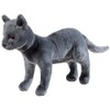 Schule der Magischen Tiere Cat GRS/PET Karajan, Grey