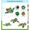 DolliBu Green Sea Turtle Stuffed Animal with Football Plush -
