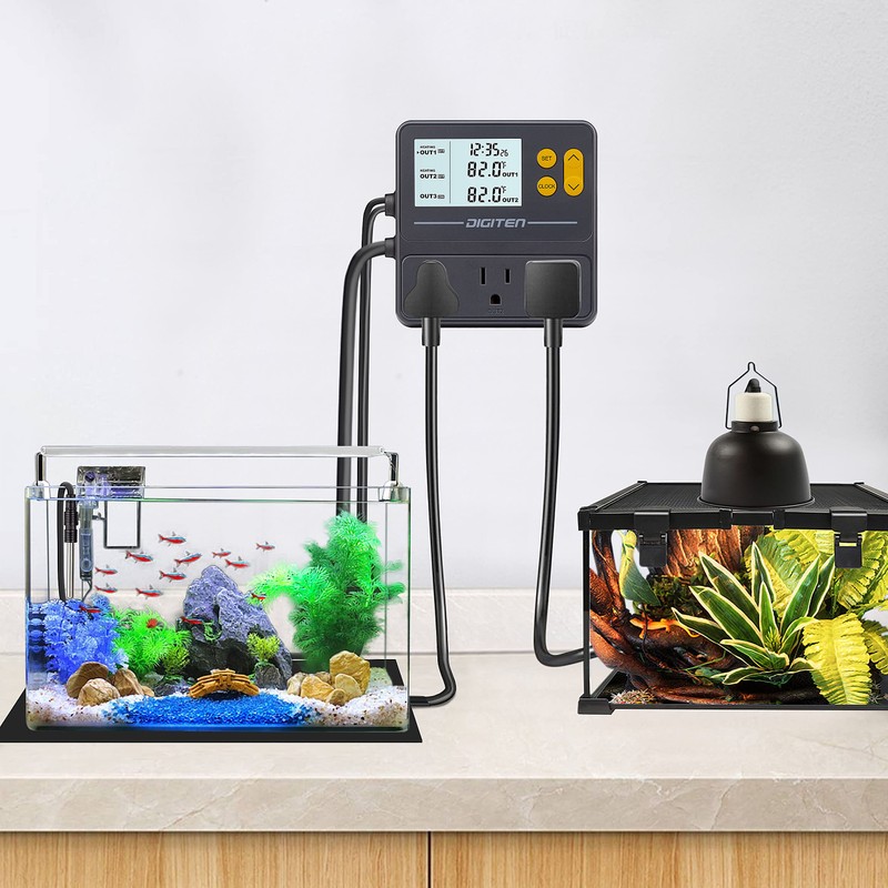 DIGITEN Timer Thermostat, Day and Night Temperature Controller, Reptile Thermostat,