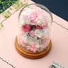 Teat Sight Preserved Flower Gift Flower Present Glass Dome Ferris