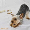 REPLUS Pet Toy, Neem Bone, SS Size, Chew Toy, Stiff,