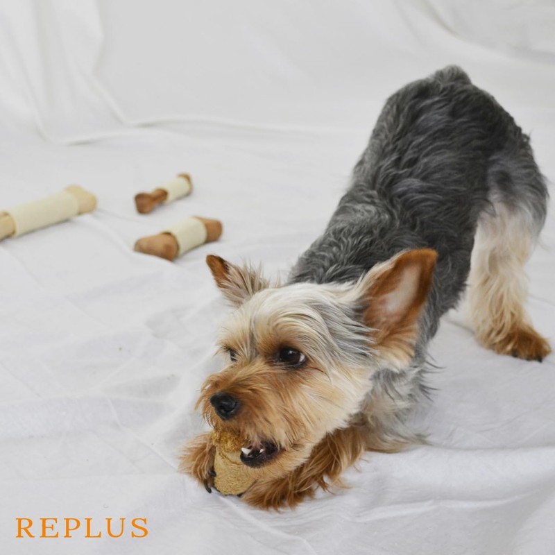 REPLUS Pet Toy, Neem Bone, SS Size, Chew Toy, Stiff,
