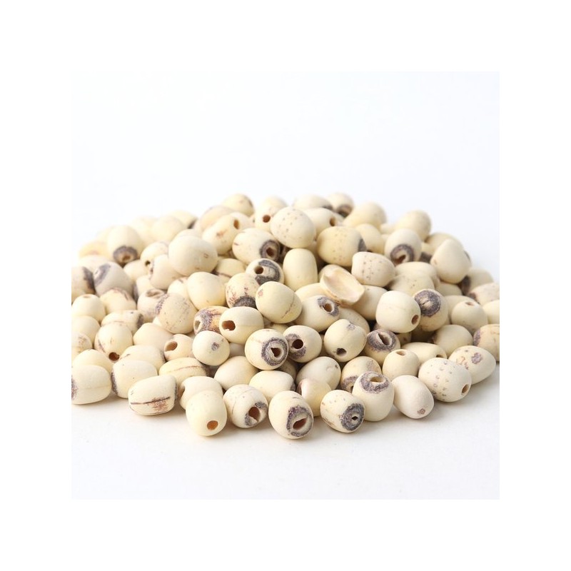 Donguihanjae 동의한재 껍질깐 연자육 연꽃씨 1kg 1kg Peeled Lotus Seeds