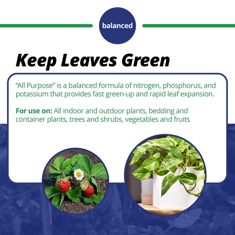 Jack's Classic 20-20-20 All Purpose Water-Soluble Fertilizer with Micronutrients to