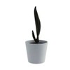Legnoart Spicy GLACIES ice cream scoop Plastic Black IS-1B