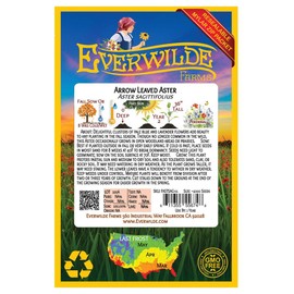 Everwilde Farms - 2000 Arrow-leaved Aster Native Wildflower Seeds - Gold Vault Seed Packet