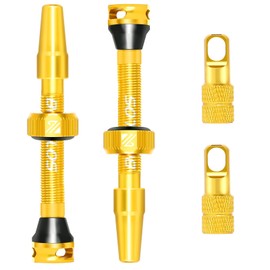 BUCKLOS Tubeless Presta Valve Stem 40/44/55/60/65/80/100 mm, Bike Valve Stem Kit with Valve Core Removal Tool, Super Light Durable Aluminum Alloy CNC, Fits Most Rims, Gold Pair
