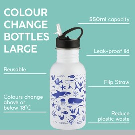 Typhoon Pure Steel Colour Changing Reusable Water Bottle With Sealife Print Design, 550 ML