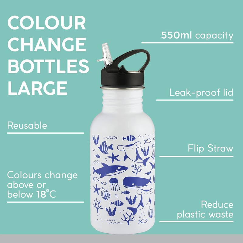 Typhoon Pure Steel Colour Changing Reusable Water Bottle With Sealife