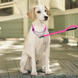 Serijoars Martingale Dog Collar, Trainer Approved Limited Slip Collar with Stainless Steel Chain, Modified Cinch Collar for Gentle & Effective Pet Training (Hot Pink Set, M)