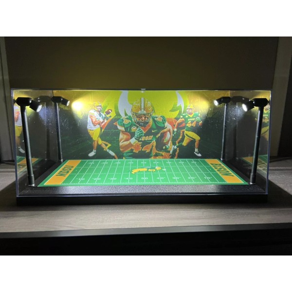 Unbranded Hunter Luepke Custom 2-card PSA & BGS display case