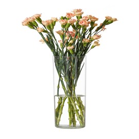 RosPynn Flower Vase Acrylic Cylinder,9.84" Tall Clear Vase for Centerpieces,Wedding Decorative,Home Décor, Non Breakable Plastic, 3.94"X9.84" Tall Round - Clear